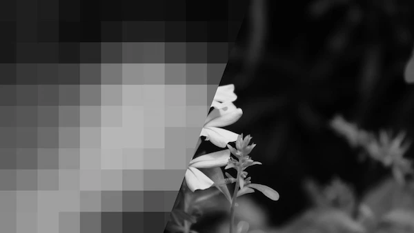 Using lazysizes to lazyload images on the Web